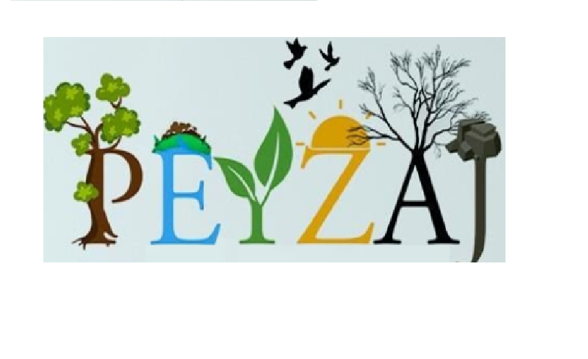 PEYZAJ MİMARLIĞI